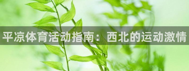 星欧娱乐官方客服联系方式