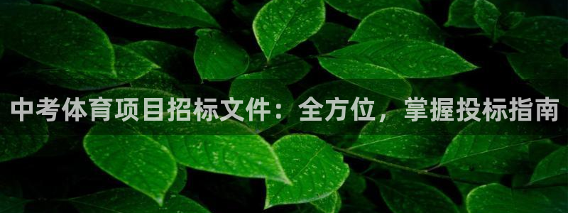 星欧娱乐官方客服联系方式