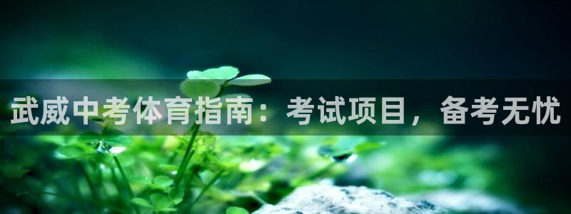 星欧娱乐公司简介